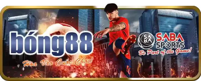 Bảo mật r88 vin